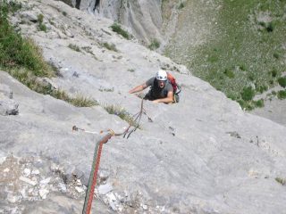 le compatte placche superiori