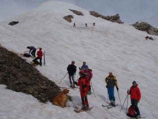 gruppone  evergreen dovio