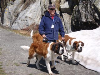 Cagnoni  a spasso