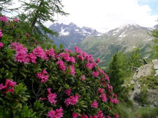 Colorando un po' la giornata