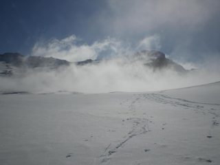 Farina del primo giorno d'estate!!!