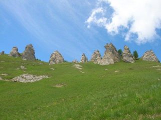 veduta d'insieme dei denti