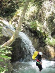 saltino verso la fine