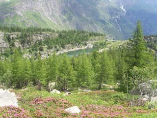  sopra il lago Arpone
