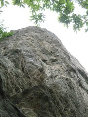 2° tiro vie lato sinistro