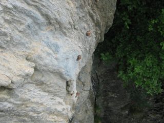 L'uscita del tetto della via n°4