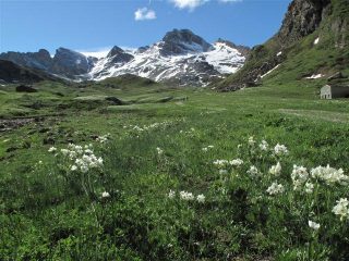 La Marchisa salendo nel vallone di Traversagn