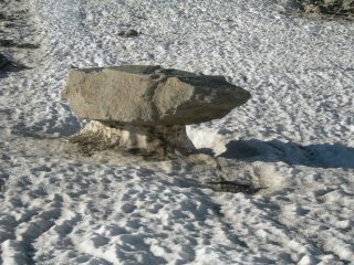 bel fungo di roccia