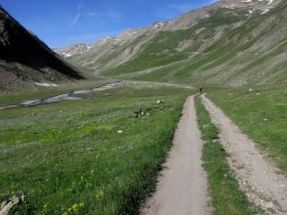 la parte iniziale del Vallon Ruisseau de Parpaillon (24-6-2009)