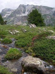 La risorgenza del Lac Ars