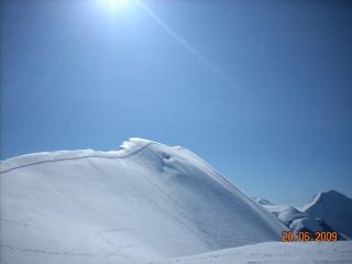 cresta