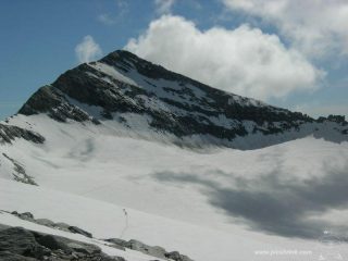 il Leone