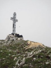 Milla si riposa sulla cima delle Saline