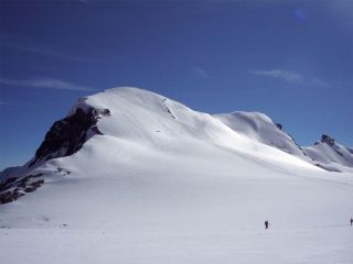 La calotta con le prime cordate
