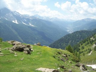 Poco sopra la strada militare  per l'Assietta