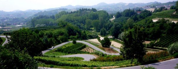 tornanti tra vigne e boschi