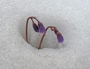 l'estate sta arrivando.....