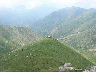 schiena dell'elefante oggi
