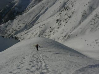 schiena dell'elefante a marzo
