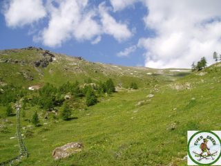 nei pressi dell'alpe lechè a sin. la cremagliera