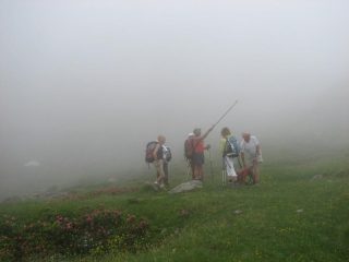 nebbia