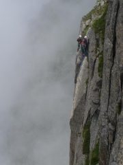 cordata impegnata su 