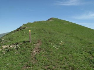 Quasi al passo del Tanarello