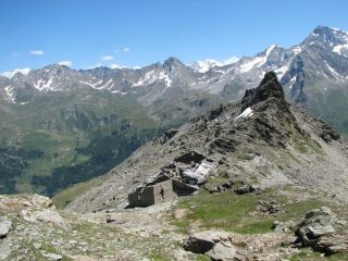ric. Cap. Ricci 2696 parte bassa