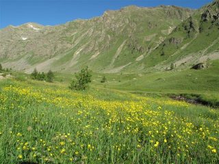 Nel vallone prima del rifugio e parte del crinale da percorrere