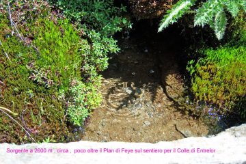 Sorgente dopo il Pian di Feye sul sentiero per il Colle 