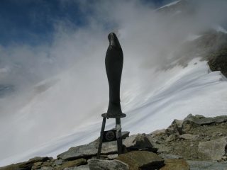 Vetta