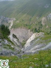 val sapin
