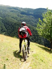...vista verso Ovest sempre in Parco Gran Bosco di Salbertrand...