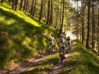 Bosco da favola su I^salita