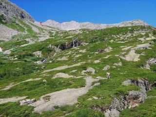 Veso la cresta