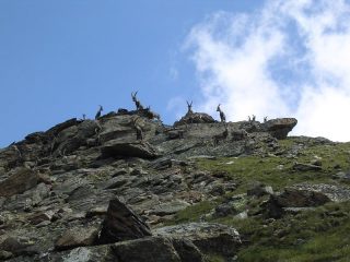 sulla sportiva