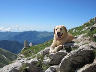 Milla si gode la giornata!!!