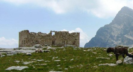 I ruderi della vecchia casrema, il MOnte Chersogno.... e Dago il boxer