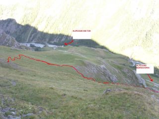 Discesa dal sent.14 verso Alp.de Fos e Thumel