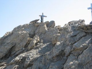 La vetta