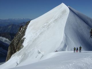 CRESTA MOLTO ESTETICA