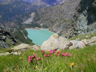 salendo allo Spondascia