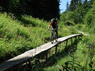 scendendo dal Col de Voza