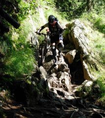 seconda parte della discesa da Bovine