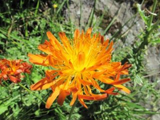 Un tocco di colore