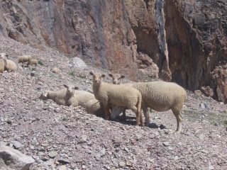 beeeee.......che avete da guardare