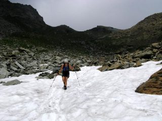 Erba olina su nevaio