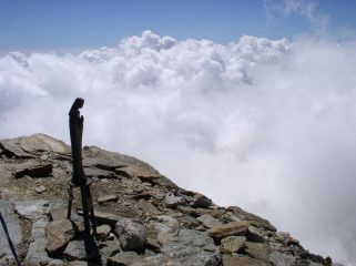 in cima