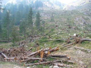 scendendo dal Valasco: i segni del duro inverno passato