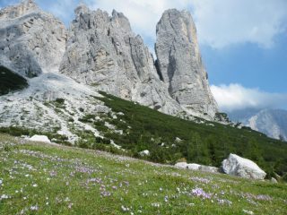 dai pressi della Sella di Pelsa
